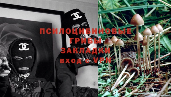 спайс Алзамай