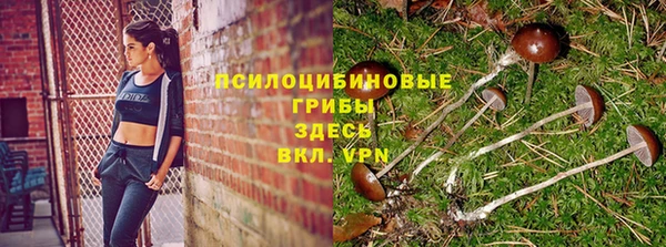 спайс Алзамай