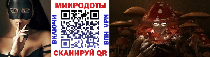 Псилоцибиновые грибы ЛСД где продают наркотики Тамбов